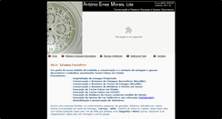 Desktop Screenshot of gessosdecorativos-aemorais.com